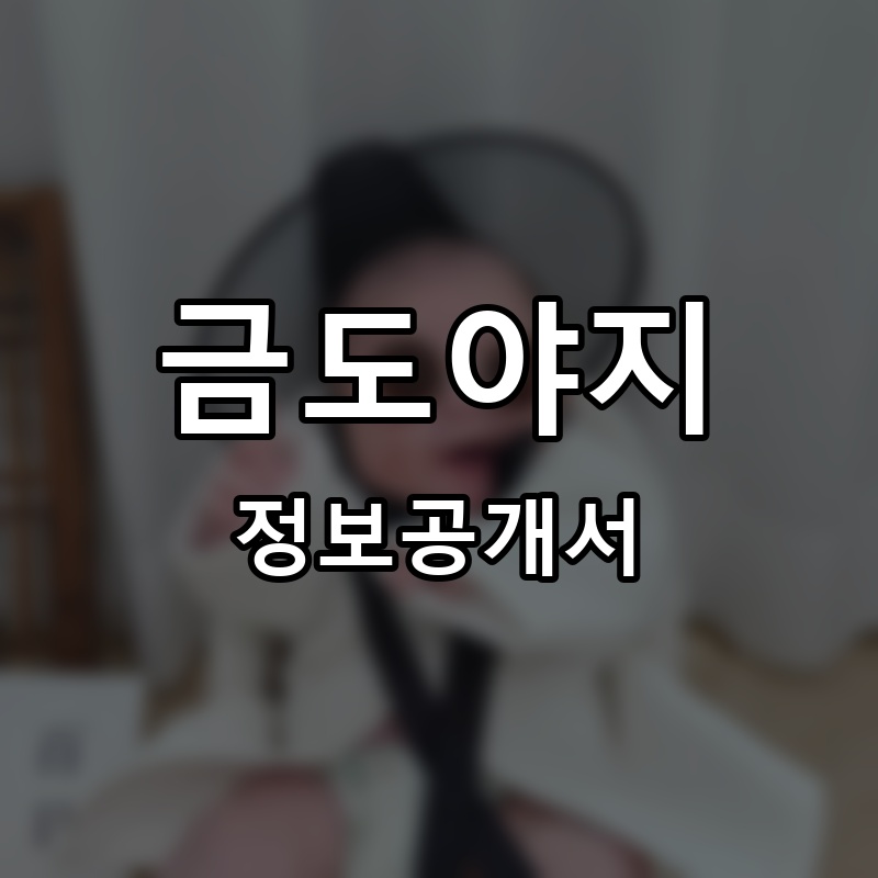 금도야지 프랜차이즈 정보공개서