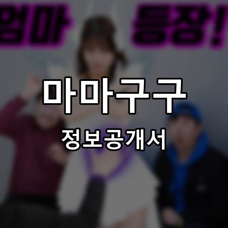 마마구구 프랜차이즈 정보공개서