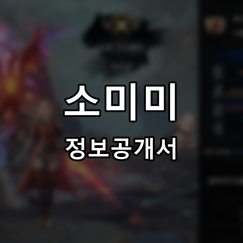 소미미 프랜차이즈 정보공개서