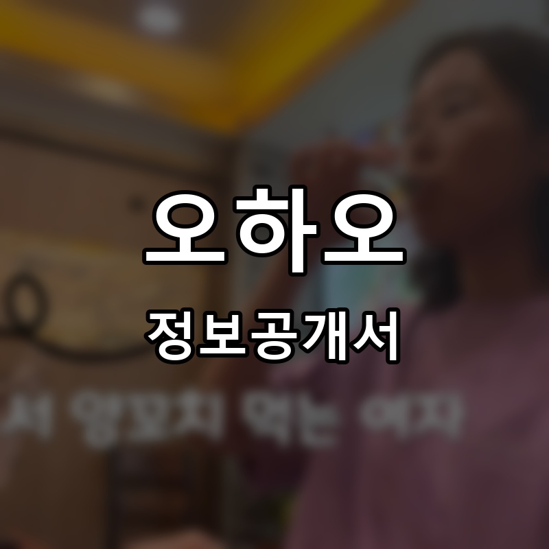 왕양 하오하오 프랜차이즈 정보공개서