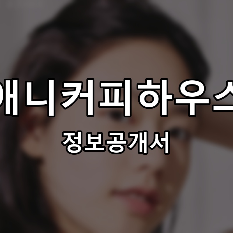 애니커피하우스 프랜차이즈 정보공개서