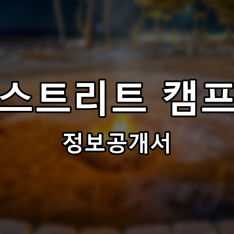 스트리트 캠프 프랜차이즈 정보공개서 요약
