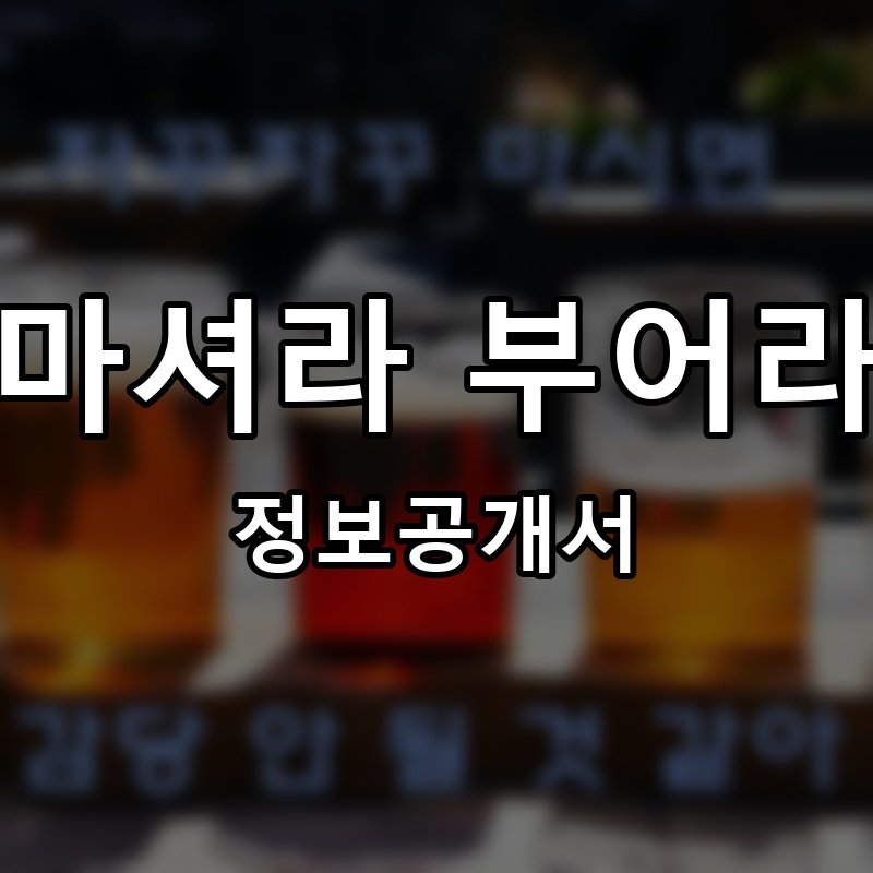 마셔라부어라 프랜차이즈 정보공개서 요약