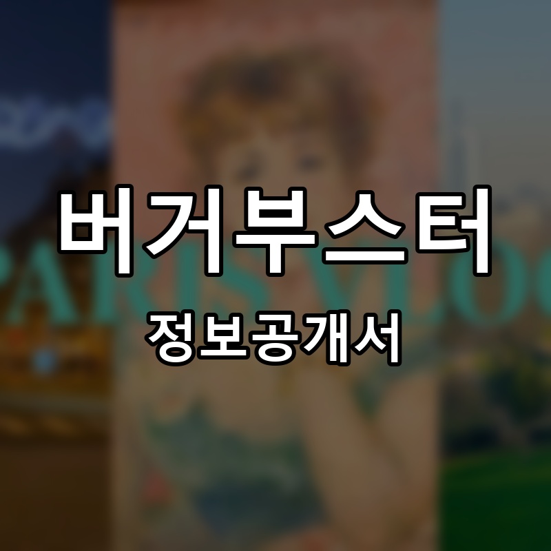 버거부스터 프랜차이즈 정보공개서 요약