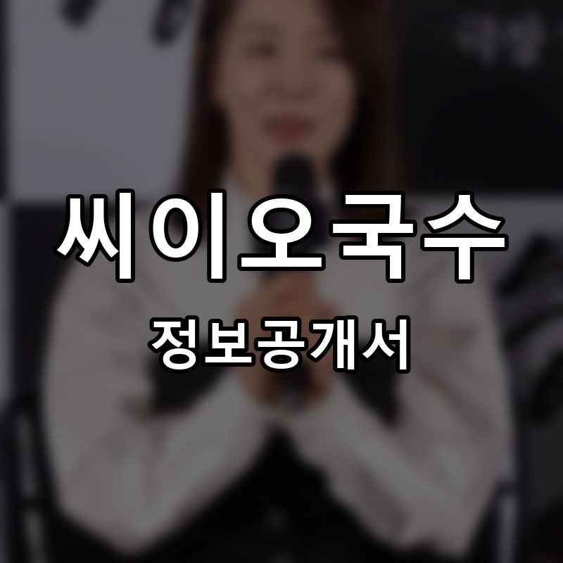 씨이오국수 프랜차이즈 정보공개서 요약