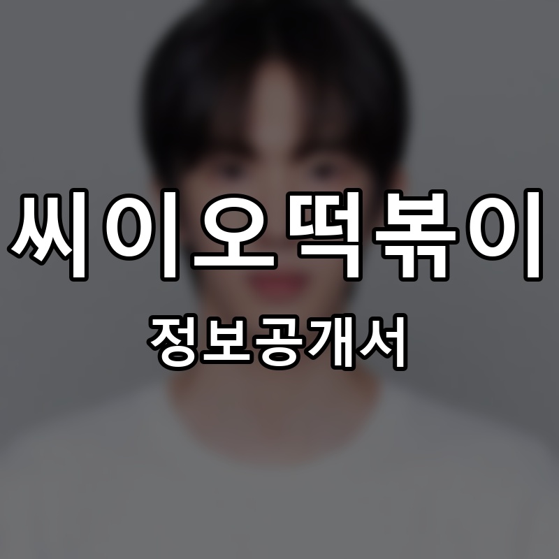 씨이오떡볶이 프랜차이즈 정보공개서 요약