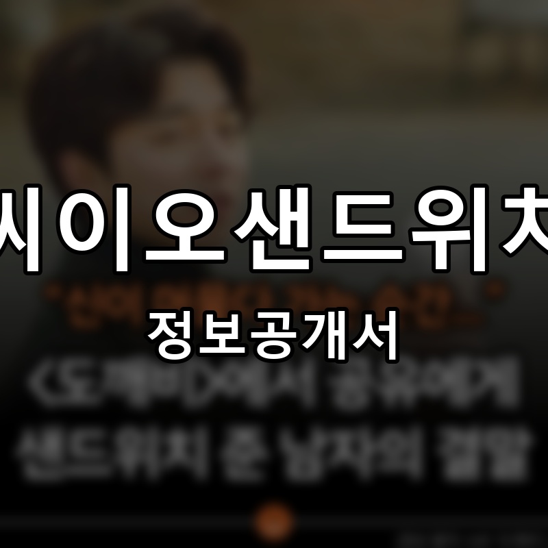 씨이오샌드위치 프랜차이즈 정보공개서 요약