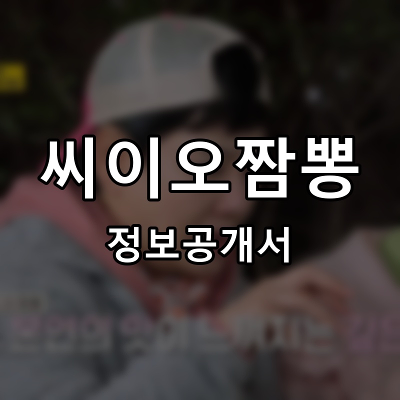 씨이오짬뽕 프랜차이즈 정보공개서 요약