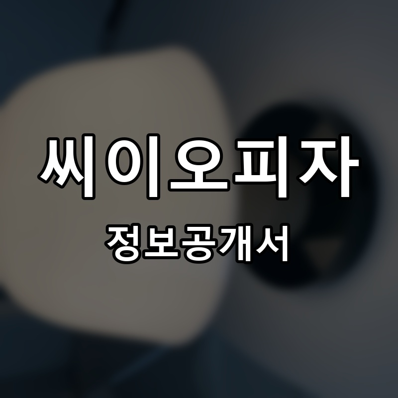 씨이오피자 프랜차이즈 정보공개서 요약