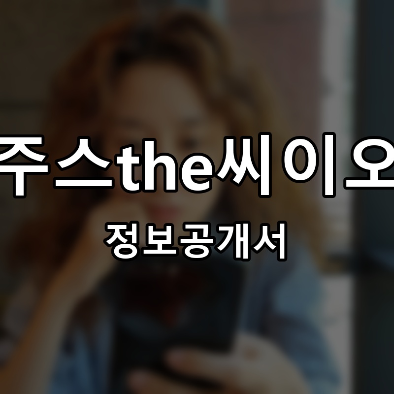 주스the씨이오 프랜차이즈 정보공개서 요약
