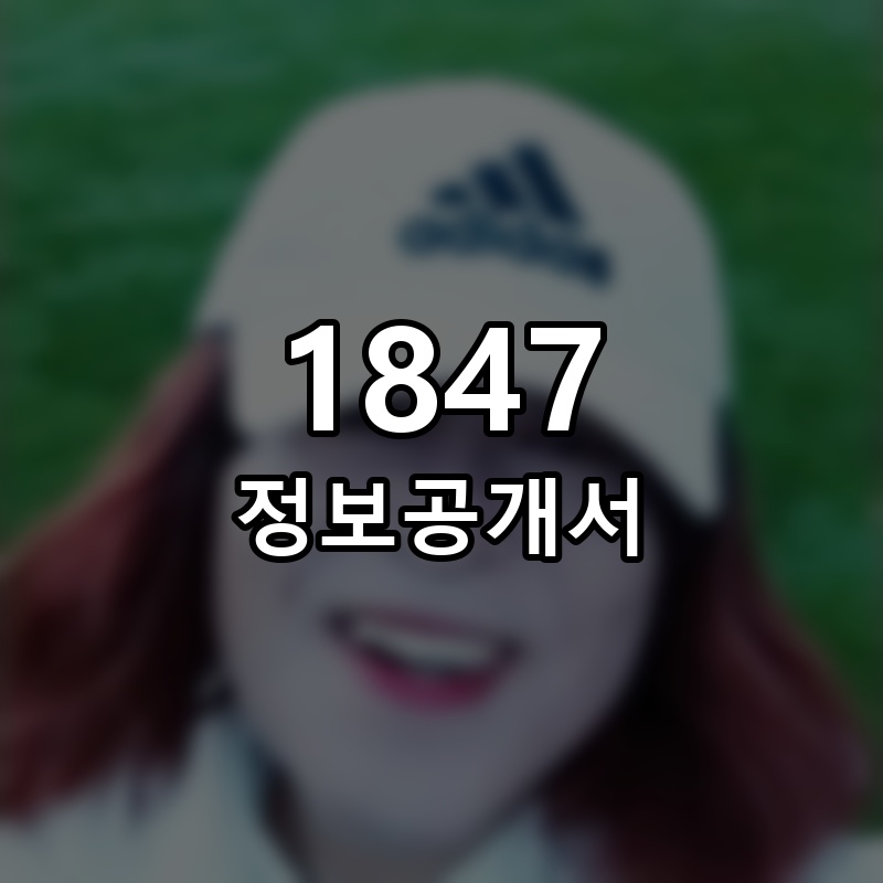 1847 프랜차이즈 정보공개서 요약