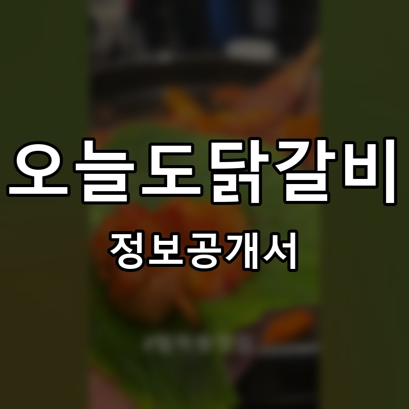 오늘도닭갈비 프랜차이즈 정보공개서 요약