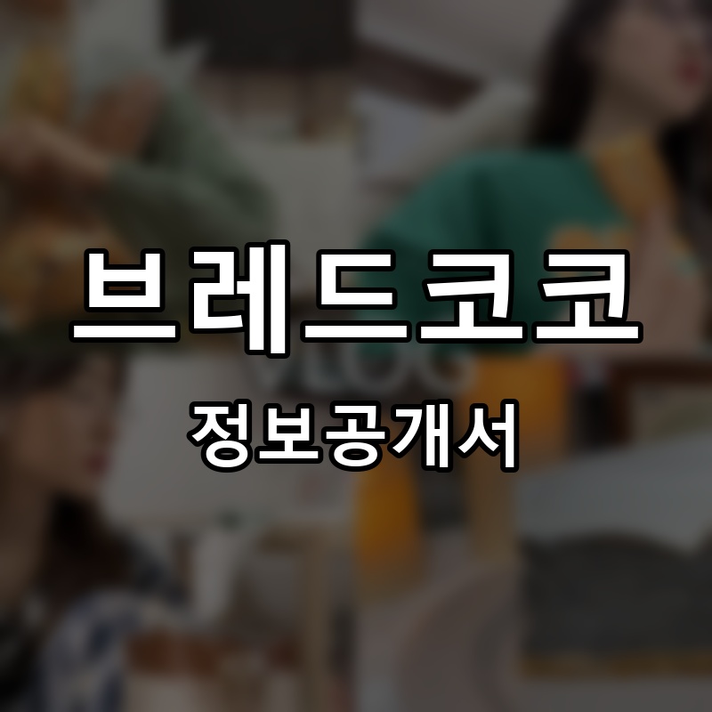 브레드코코 프랜차이즈 정보공개서 요약