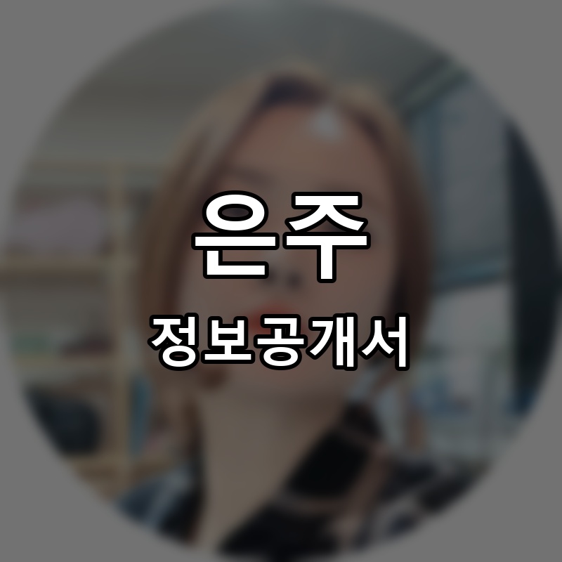 은주 프랜차이즈 정보공개서 요약