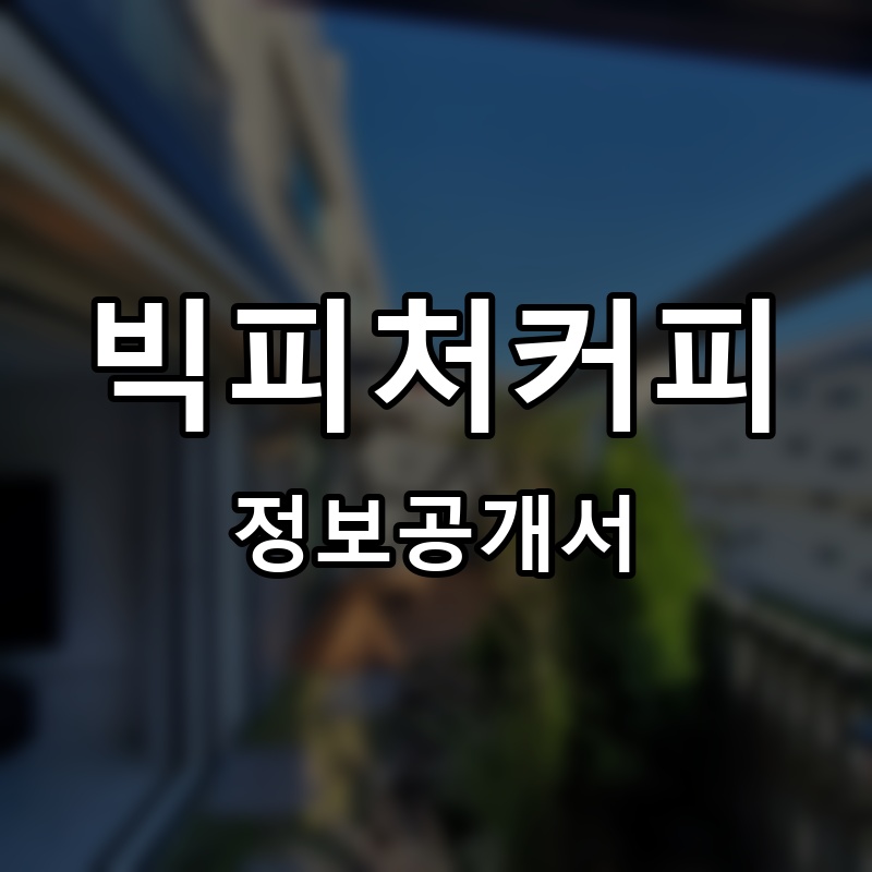 빅피처커피 프랜차이즈 정보공개서 요약