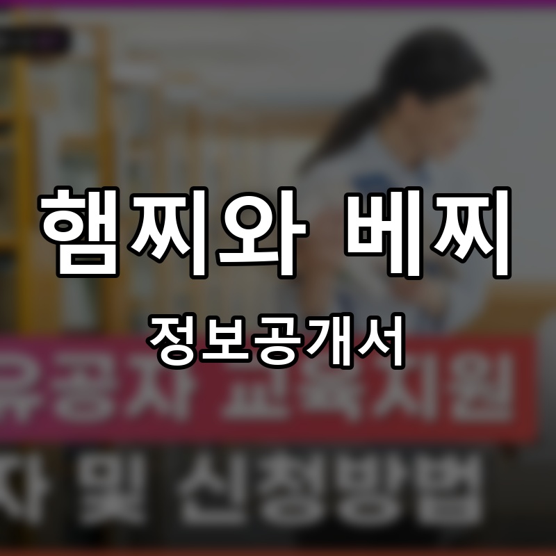 햄찌와 베찌 프랜차이즈 정보공개서 요약