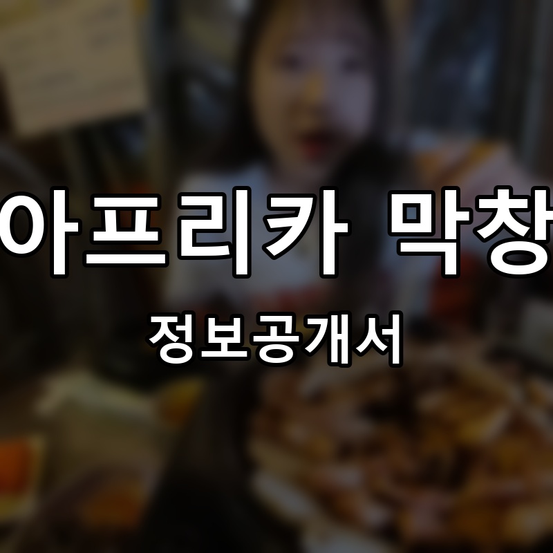 아프리카 막창 프랜차이즈 정보공개서 요약