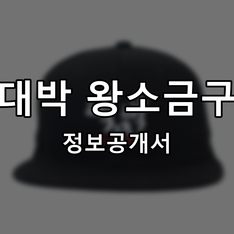 박대박 왕소금구이 프랜차이즈 정보공개서 요약