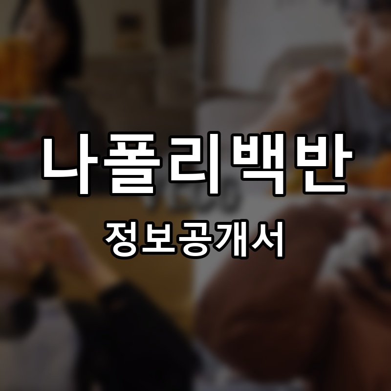 나폴리백반 프랜차이즈 정보공개서 요약