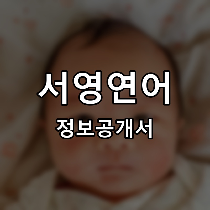 서영연어 프랜차이즈 정보공개서