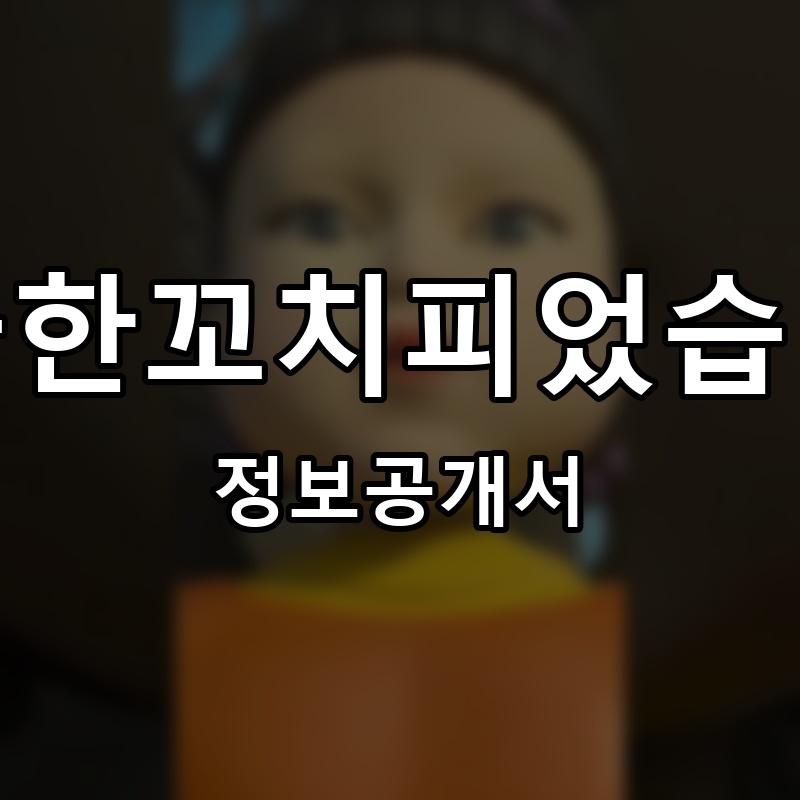 무궁한꼬치피었습니다 프랜차이즈 정보공개서