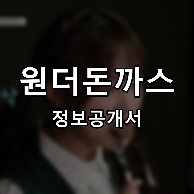 원더돈까스 프랜차이즈 정보공개서