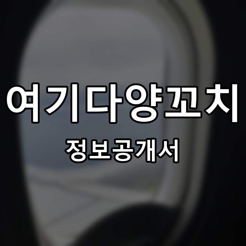 여기다양꼬치 프랜차이즈 정보공개서