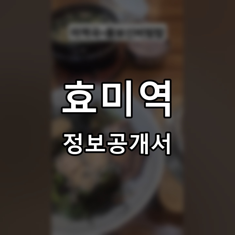 효미역 프랜차이즈 정보공개서