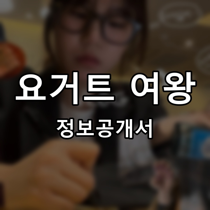 요거트 여왕 프랜차이즈 정보공개서