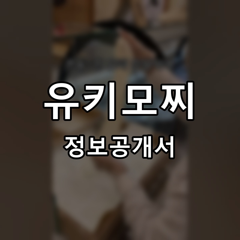 유키모찌 프랜차이즈 정보공개서