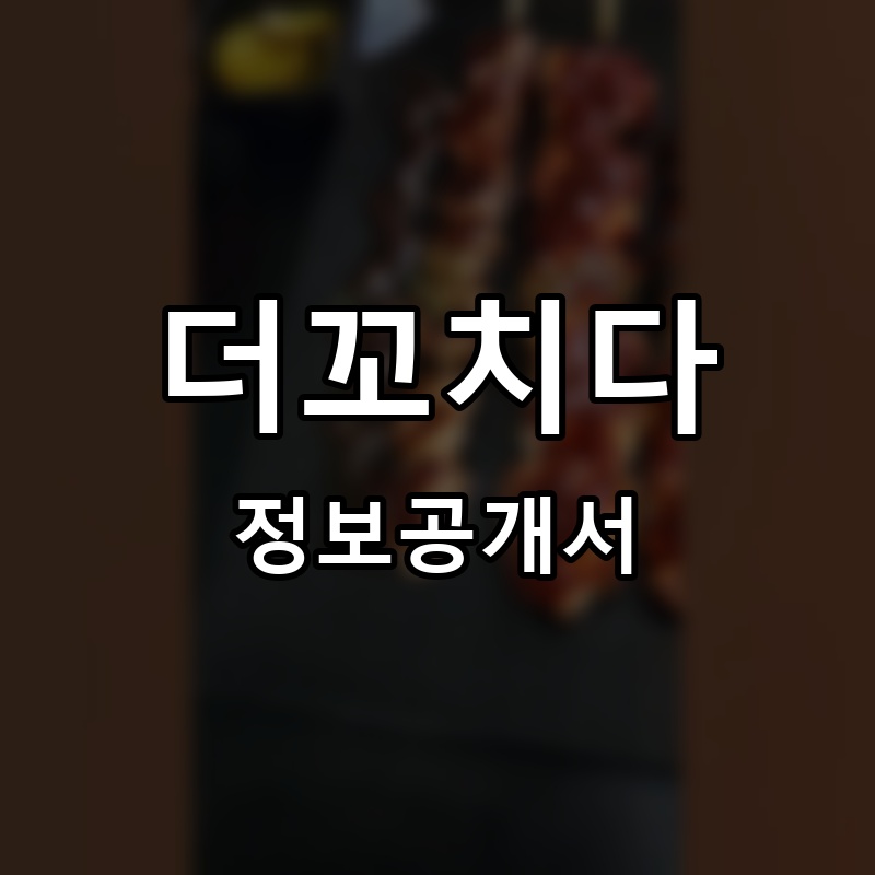 더꼬치다 프랜차이즈 정보공개서 요약