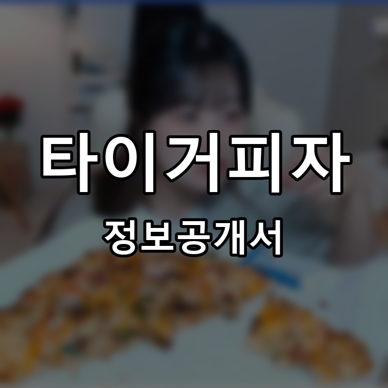 타이거피자 프랜차이즈 정보공개서 요약