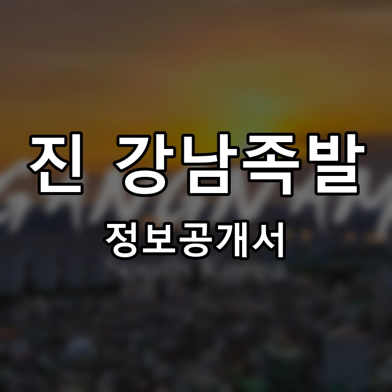 진 강남족발 프랜차이즈 정보공개서 요약