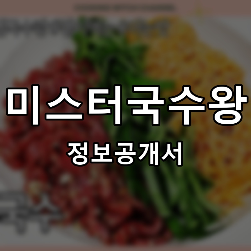 미스터국수왕 프랜차이즈 정보공개서 요약