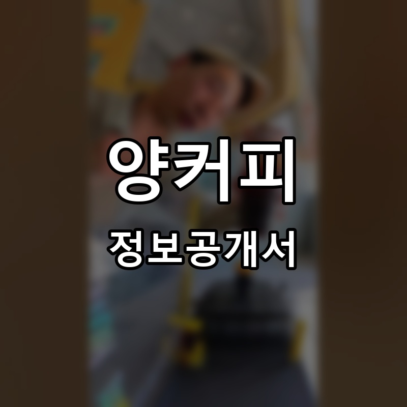 양커피 프랜차이즈 정보공개서 요약