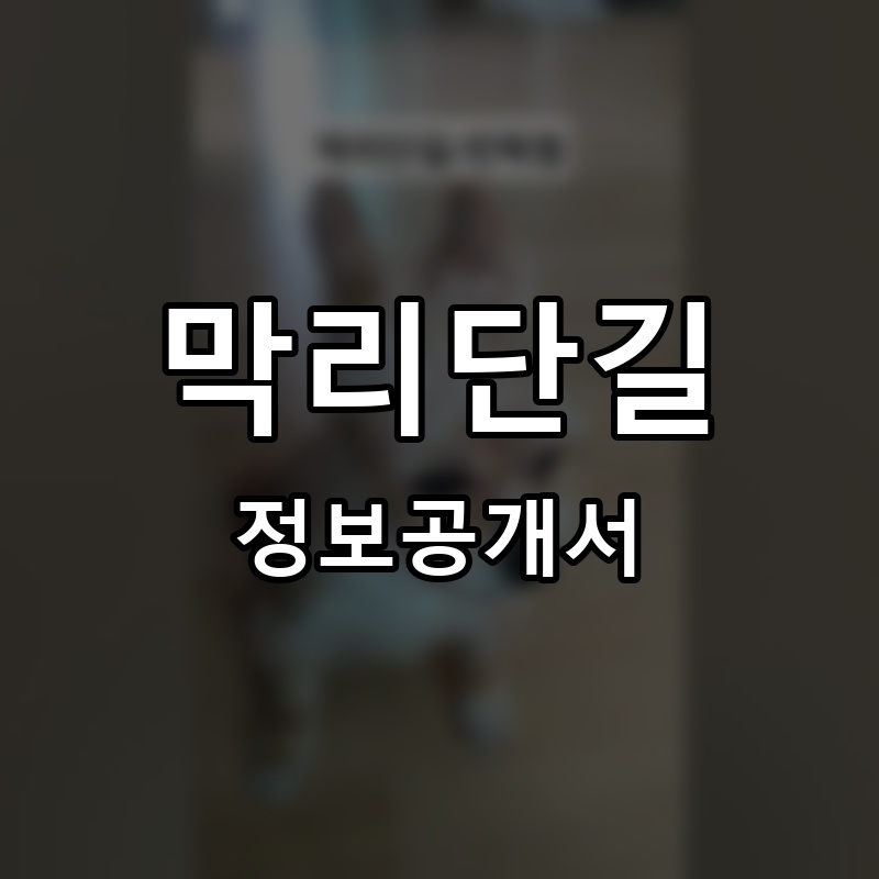 막리단길 프랜차이즈 정보공개서 요약