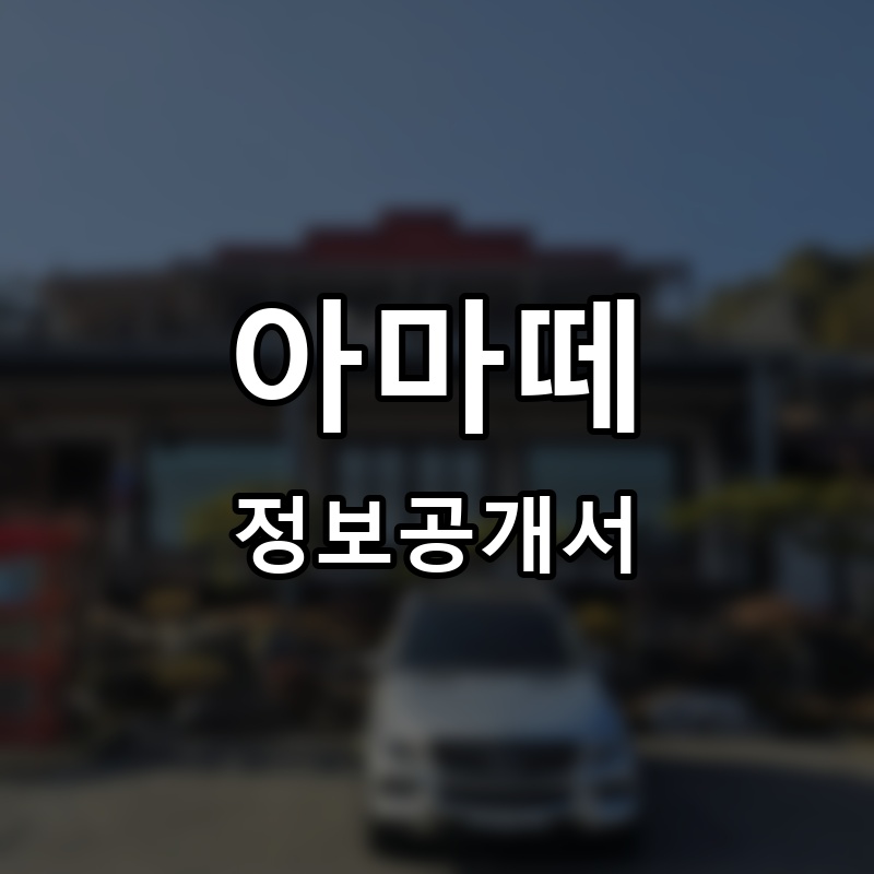 아마떼 프랜차이즈 정보공개서 요약