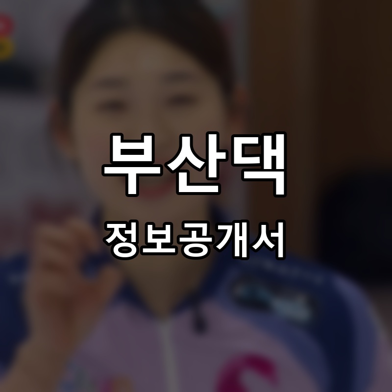 부산댁 프랜차이즈 정보공개서