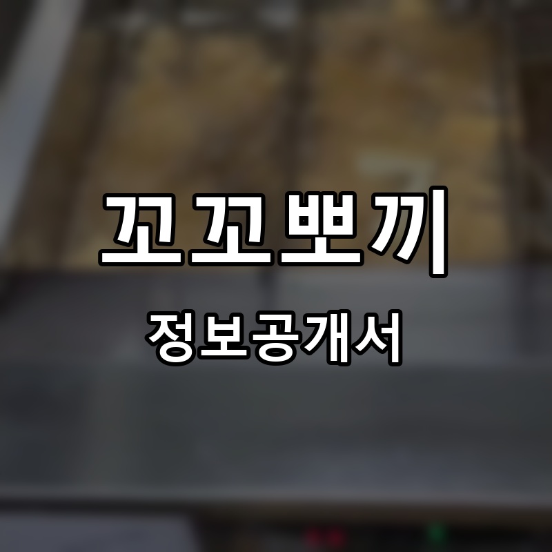 꼬꼬뽀끼 프랜차이즈 정보공개서 요약