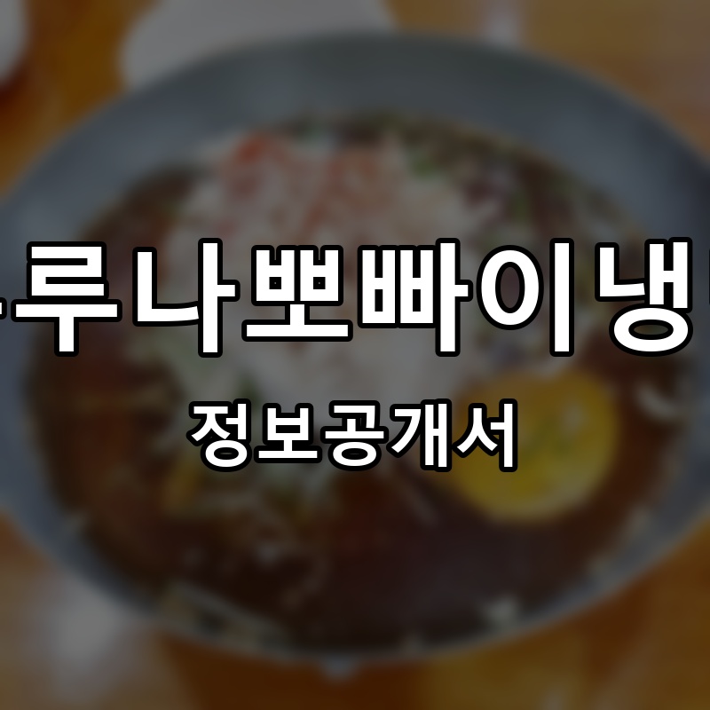 부루나뽀빠이냉면 프랜차이즈 정보공개서