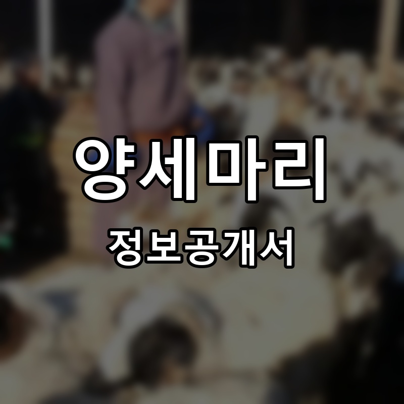양세마리 프랜차이즈 정보공개서