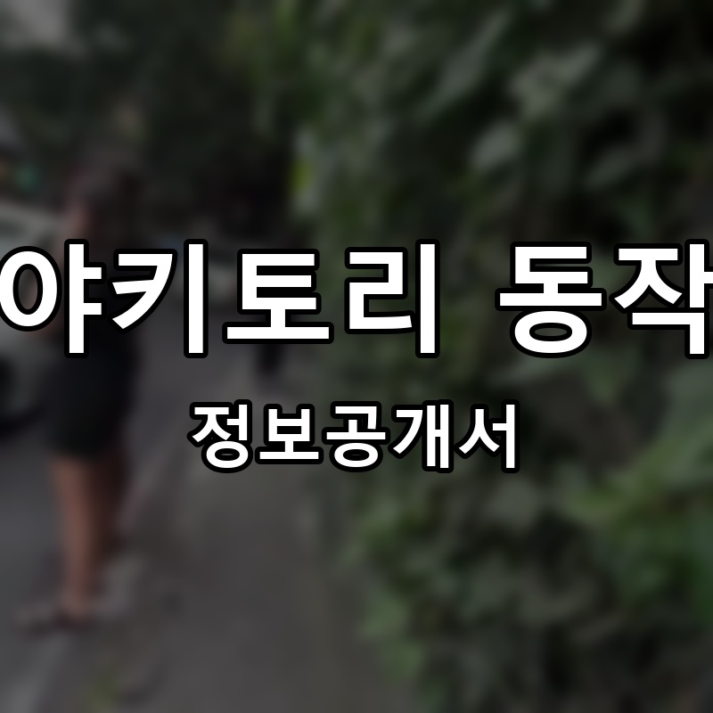 발리맥주&발리시장 프랜차이즈 정보공개서