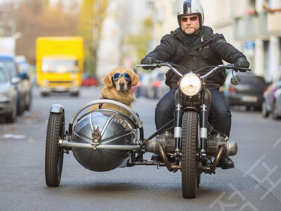 결국 터졌다! 매수사이드카가 불러온 충격의 파장