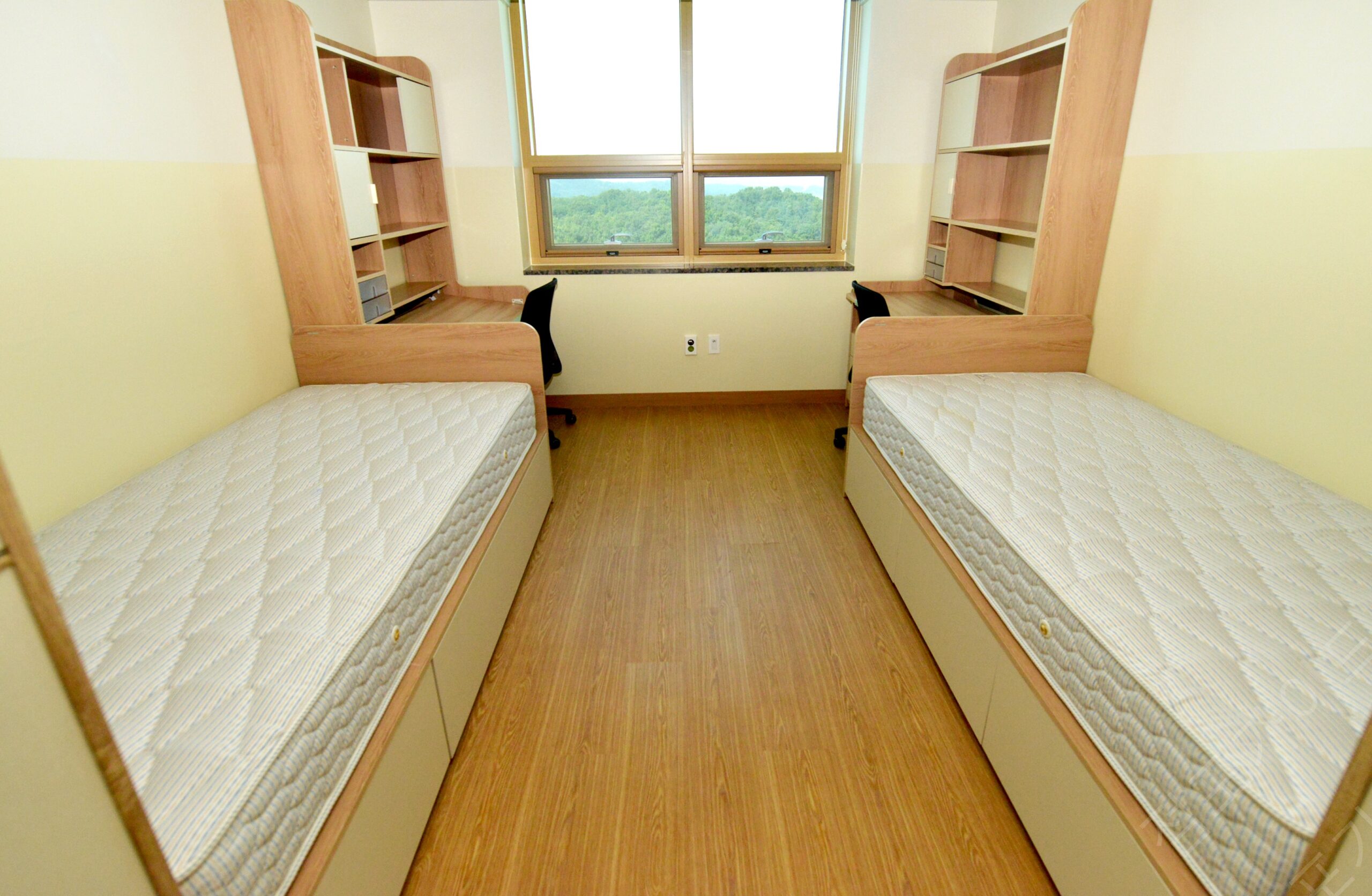 결국 터졌다! 백석대학교의 입학식이 불러온 혼란의 진짜 이유