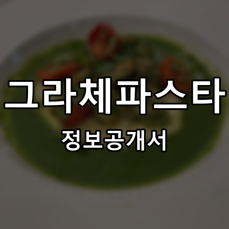 그라체파스타 프랜차이즈 정보공개서
