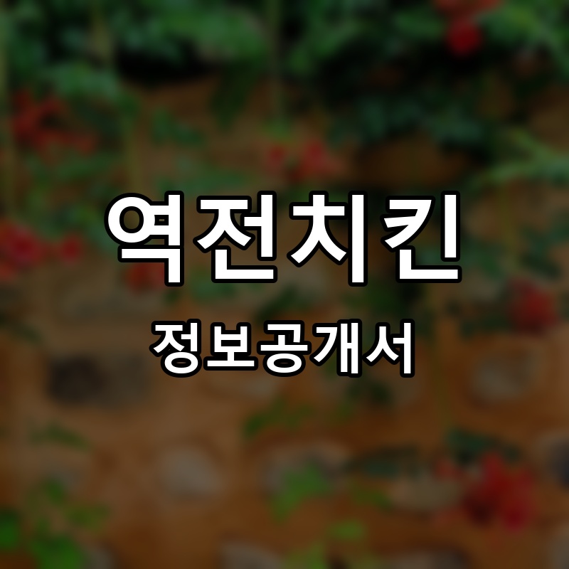 공일오 강정백화점 프랜차이즈 정보공개서