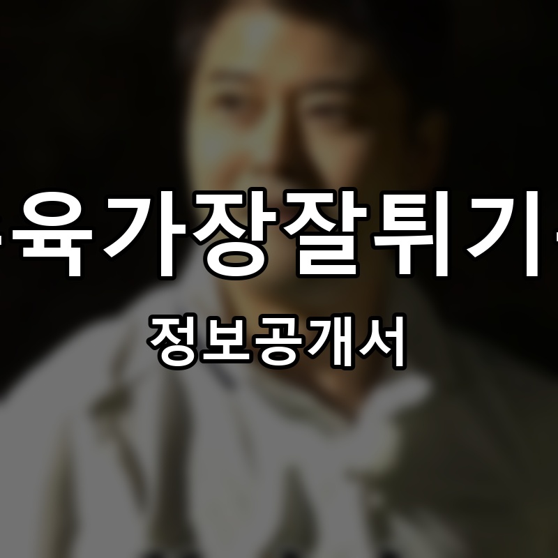 탕수육가장잘튀기는집 프랜차이즈 정보공개서 요약