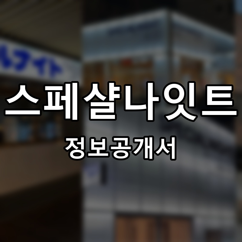 스페샬나잇트 프랜차이즈 정보공개서 요약