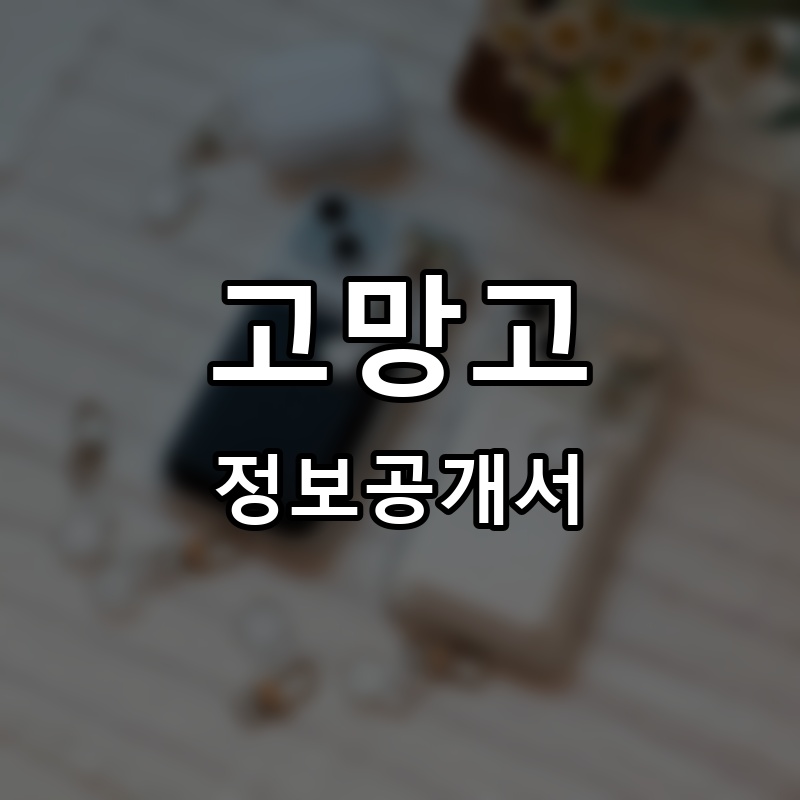 고망고 프랜차이즈 정보공개서 요약