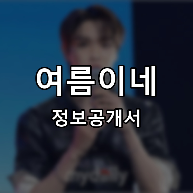 여름이네 프랜차이즈 정보공개서